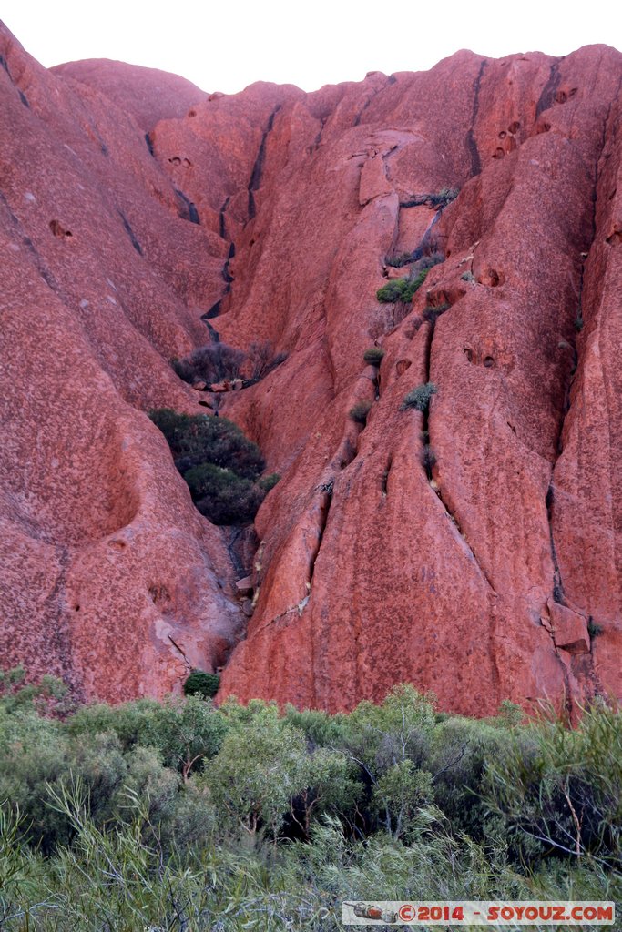 Ayers Rock / Uluru - Lungkata Walk
Mots-clés: AUS Australie Ayers Rock geo:lat=-25.34679280 geo:lon=131.02238320 geotagged Northern Territory Uluru - Kata Tjuta National Park patrimoine unesco uluru Ayers rock Lungkata Walk animiste