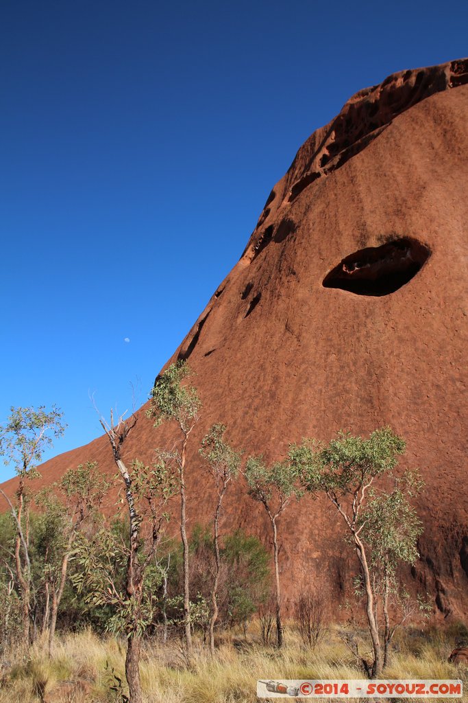 Ayers Rock / Uluru - Kuniya Walk
Mots-clés: AUS Australie Ayers Rock geo:lat=-25.35430807 geo:lon=131.03162050 geotagged Northern Territory Uluru - Kata Tjuta National Park patrimoine unesco uluru Ayers rock Kuniya Walk animiste