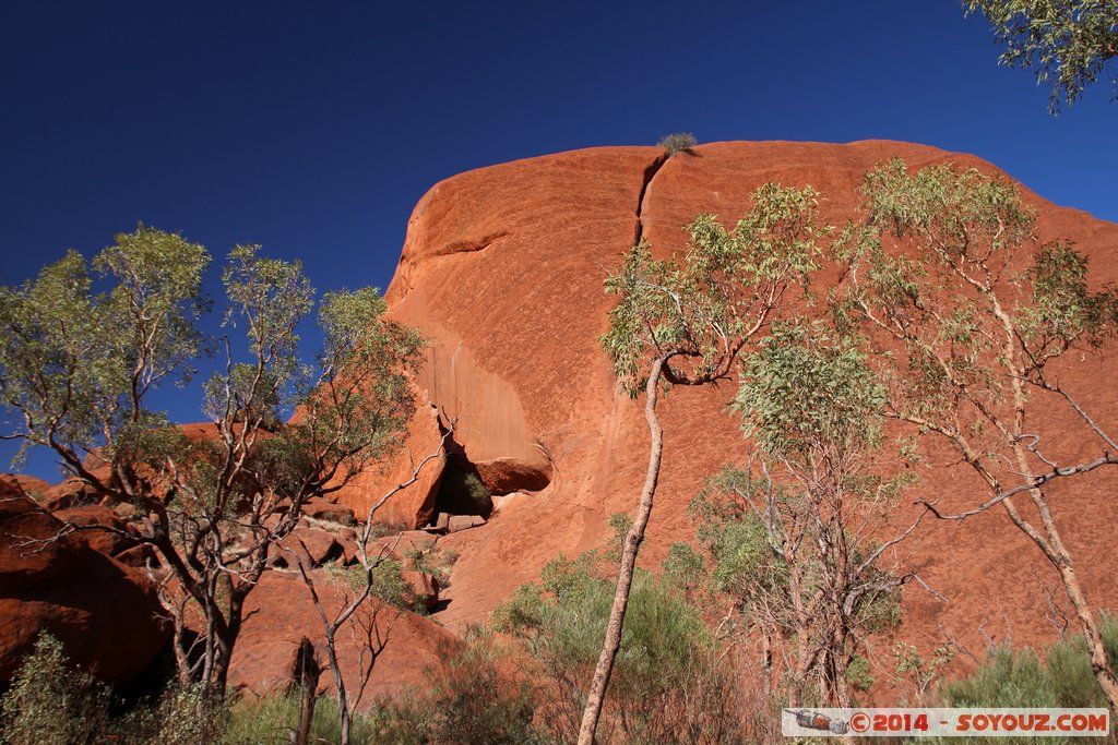 Ayers Rock / Uluru - Kuniya Walk
Mots-clés: AUS Australie Ayers Rock geo:lat=-25.35232800 geo:lon=131.03325320 geotagged Northern Territory Uluru - Kata Tjuta National Park patrimoine unesco uluru Ayers rock Kuniya Walk animiste