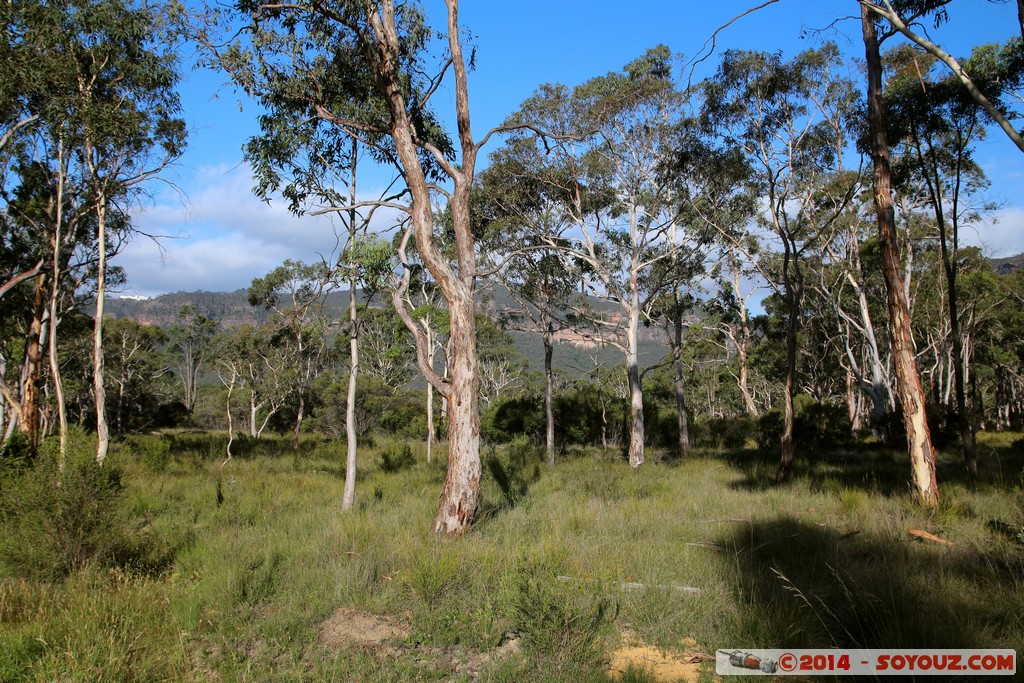 Blue Mountains - Megalong Valley
Mots-clés: AUS Australie geo:lat=-33.69546993 geo:lon=150.25383433 geotagged Medlow Bath Megalong Valley New South Wales Blue Mountains patrimoine unesco