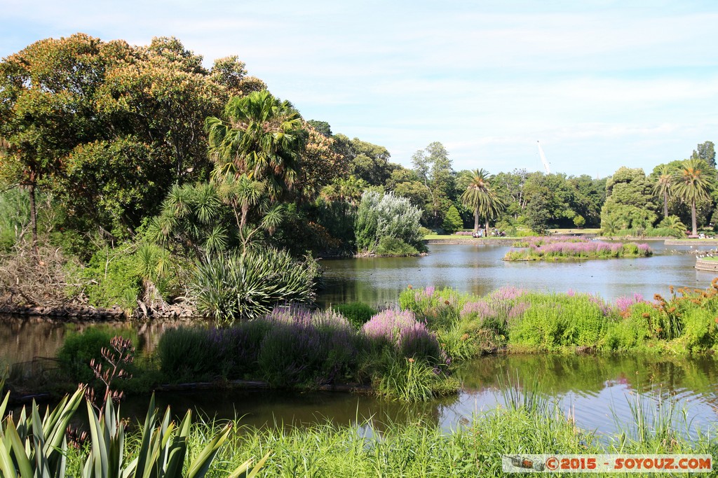 Melbourne - Royal Botanic Gardens
Mots-clés: AUS Australie geo:lat=-37.82988071 geo:lon=144.98017986 geotagged South Yarra Victoria Royal Botanic Gardens