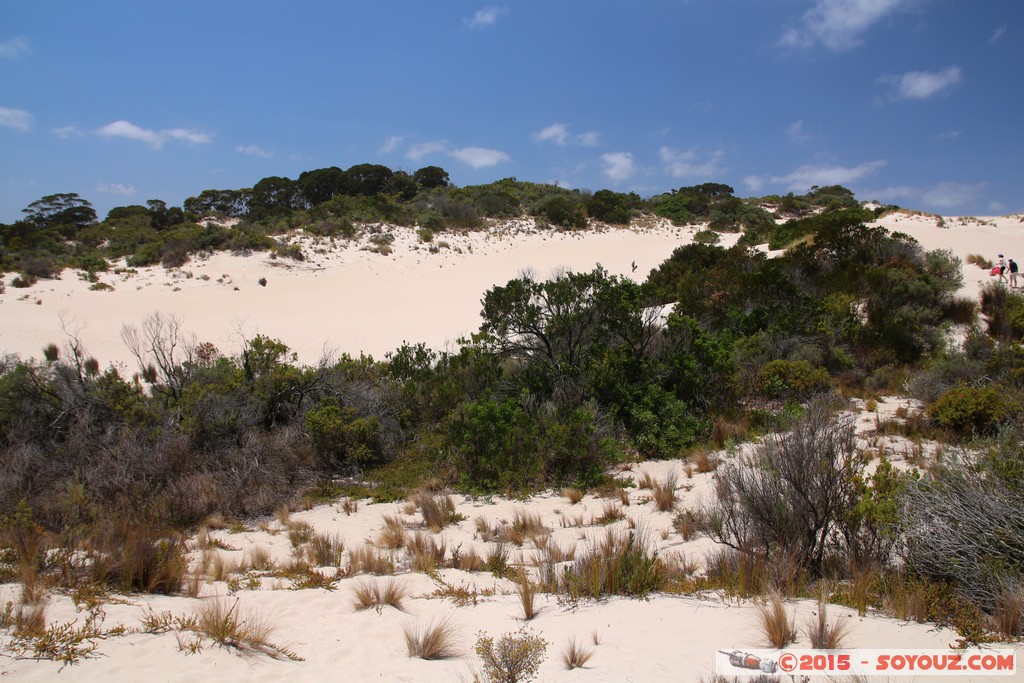 Kangaroo Island - Little Sahara
Mots-clés: AUS Australie geo:lat=-35.94956700 geo:lon=137.24325200 geotagged Seddon South Australia Kangaroo Island Little Sahara