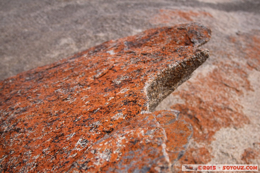 Kangaroo Island - Remarkable Rocks
Mots-clés: AUS Australie geo:lat=-36.04833666 geo:lon=136.75713017 geotagged South Australia Kangaroo Island Flinders Chase National Park Remarkable Rocks